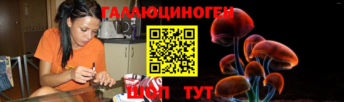 Псилоцибиновые грибы Cubensis  Псилоцибиновые грибы GOLDEN TEACHER  Тихорецк  Вход с VPN 